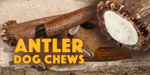 LONGER LASTING CHEWS