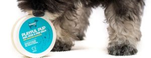 PAW BALMS AND WETWIPES