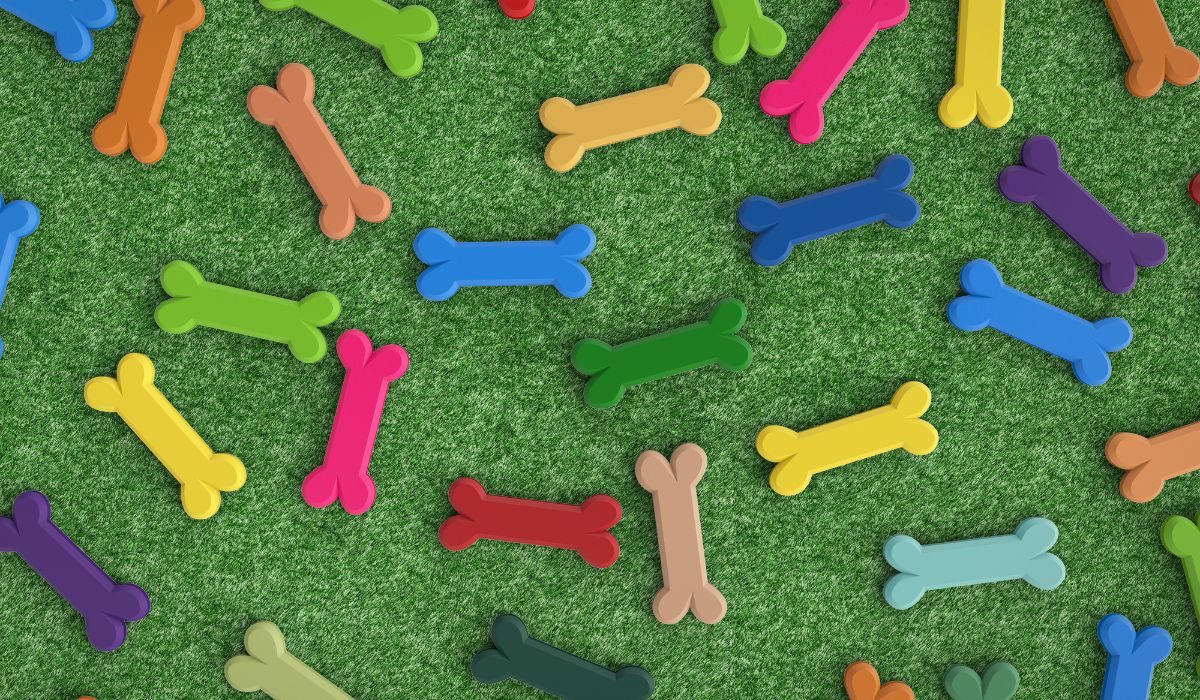 Everything You Need to Know About Nylabone Sleepy Paws