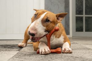 BAMBOODLES