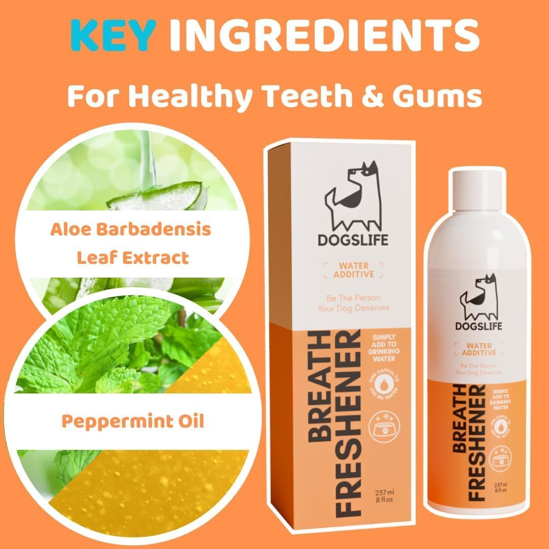 61CqHSjG29L._AC_SL1080_