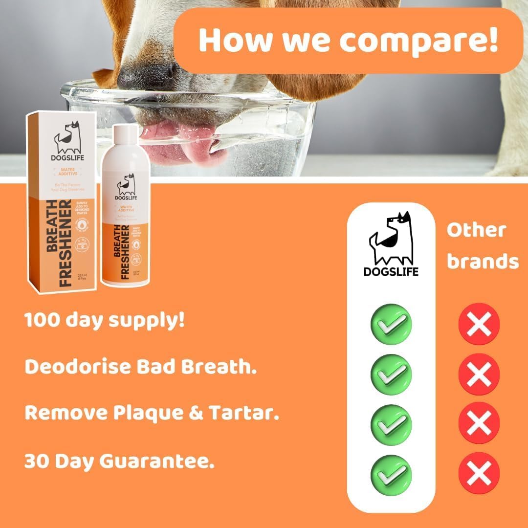 61EHl1DIfqL._AC_SL1080_