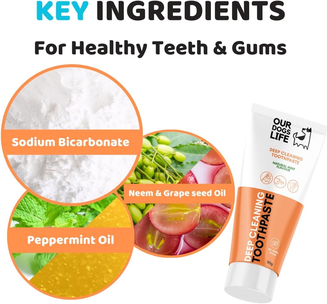 61UmGl0j+rL._AC_SL1080_