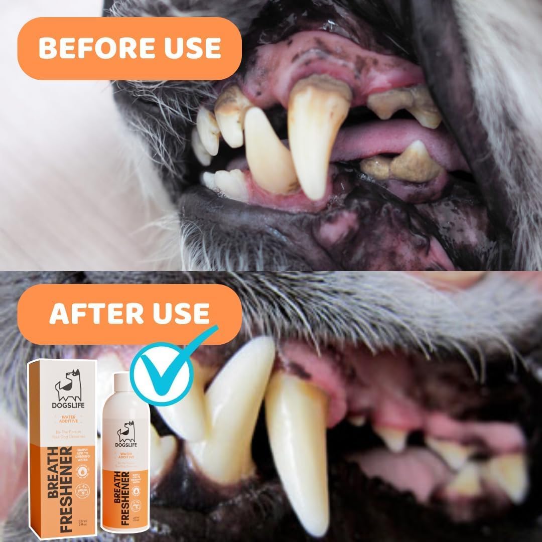 61VuWAXTaHL._AC_SL1080_