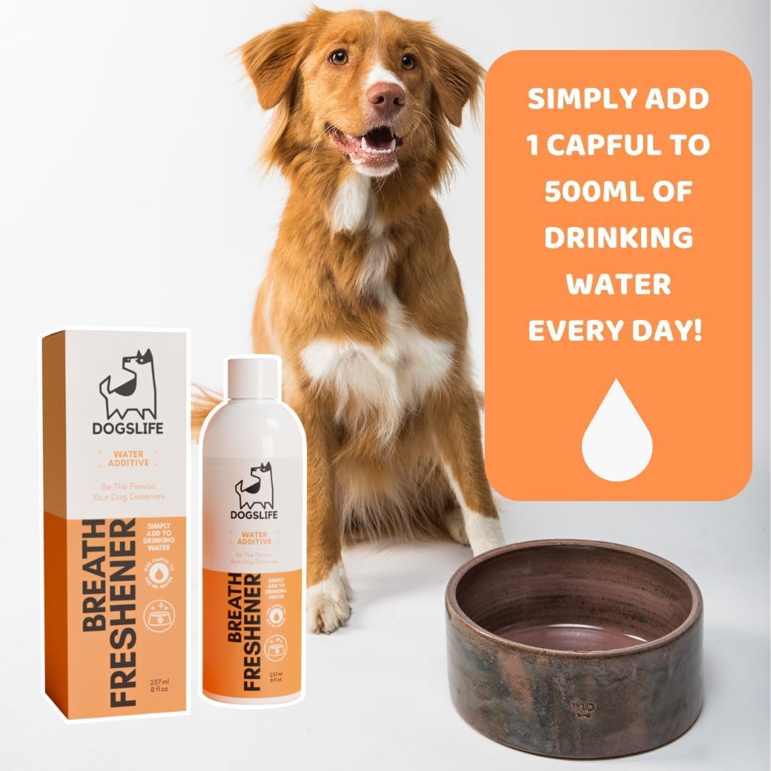 61pqqReYY3L._AC_SL1080_