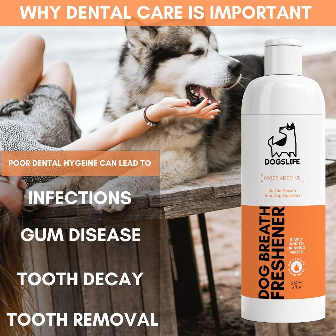 71XtBY4v6lL._AC_SL1080_